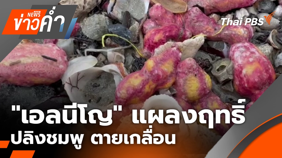 ข่าวค่ำ