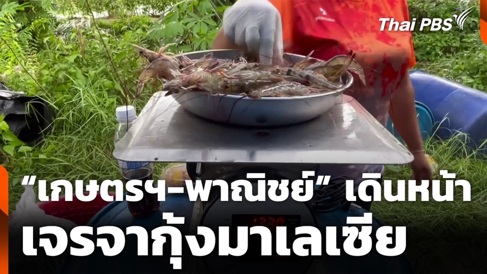 “เกษตรฯ-พาณิชย์” เดินหน้าเจรจากุ้งมาเลเซีย