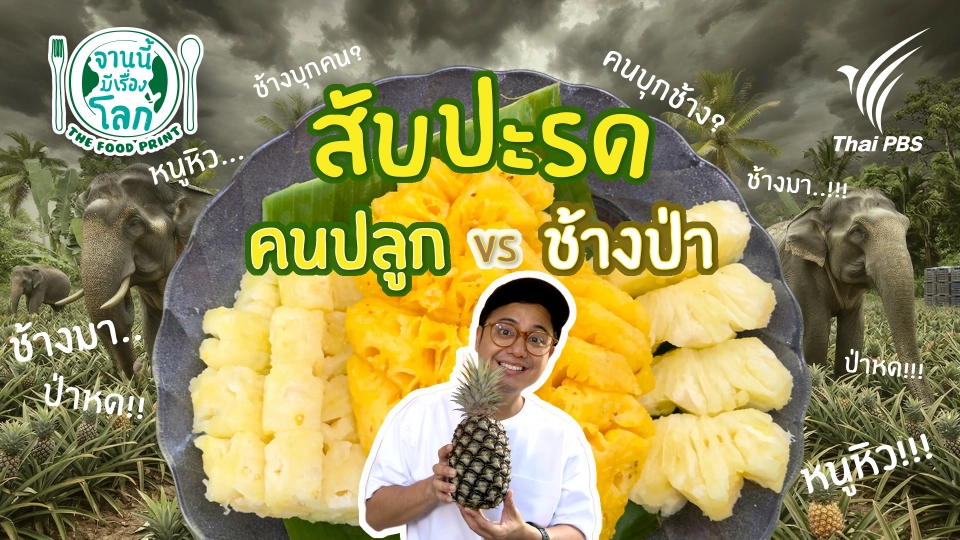 จานนี้...มีเรื่องโลก