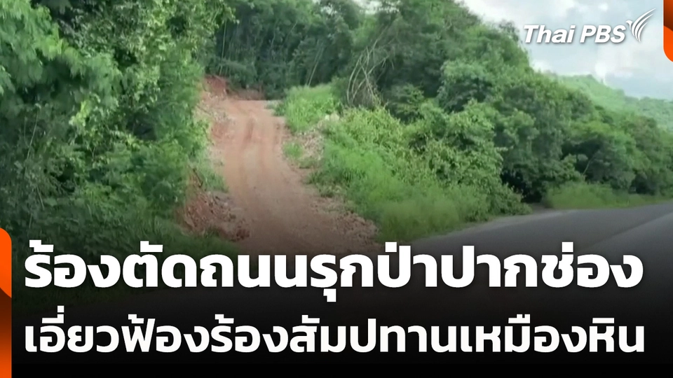 ร้องตัดถนนรุกป่าปากช่อง เอี่ยวฟ้องร้องสัมปทานเหมืองหิน