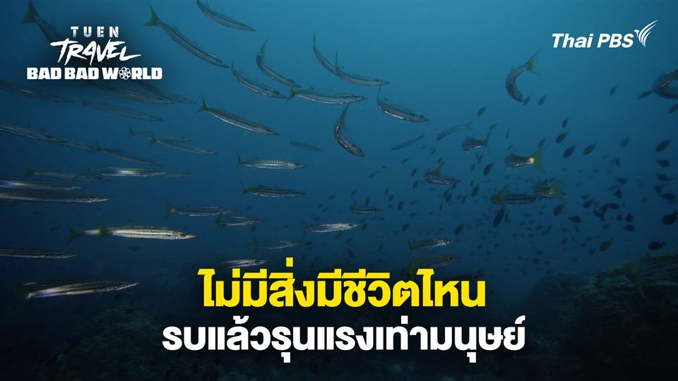 ไม่มีสิ่งมีชีวิตไหน รบแล้วรุนแรงเท่ามนุษย์