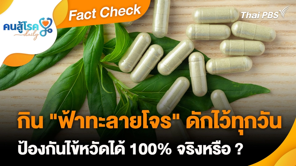 Fact Check :  กิน "ฟ้าทะลายโจร" ดักไว้ทุกวัน ป้องกันไข้หวัดได้ 100% จริงหรือ ?