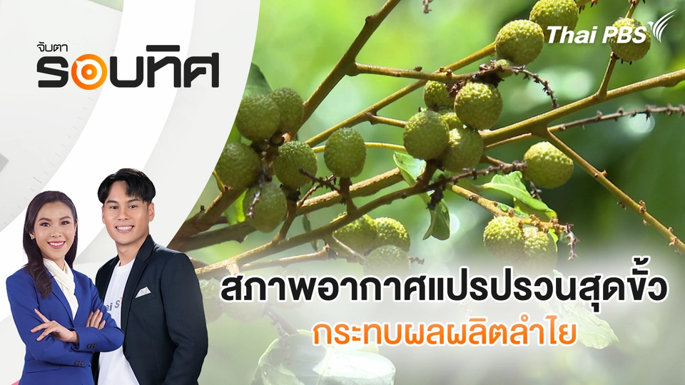 จับตารอบทิศ