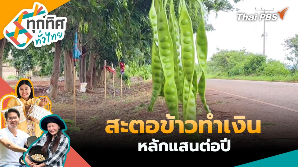 ทุกทิศทั่วไทย