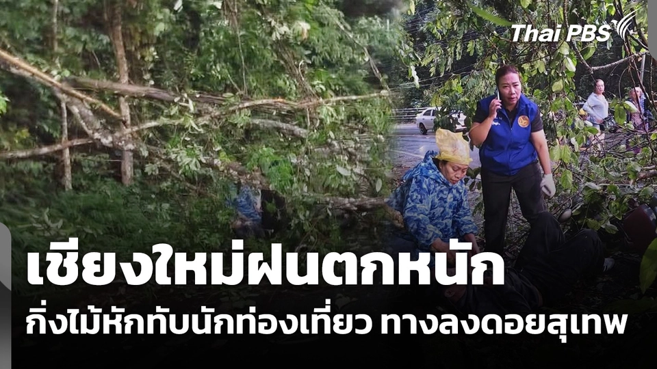 เชียงใหม่ฝนตกหนัก กิ่งไม้หักทับนักท่องเที่ยว ทางลงดอยสุเทพ 