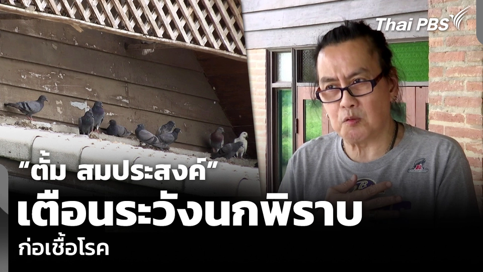 “ตั้ม สมประสงค์” เตือนระวังนกพิราบ ก่อเชื้อโรค