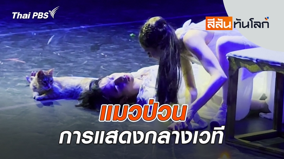 สีสันทันโลก