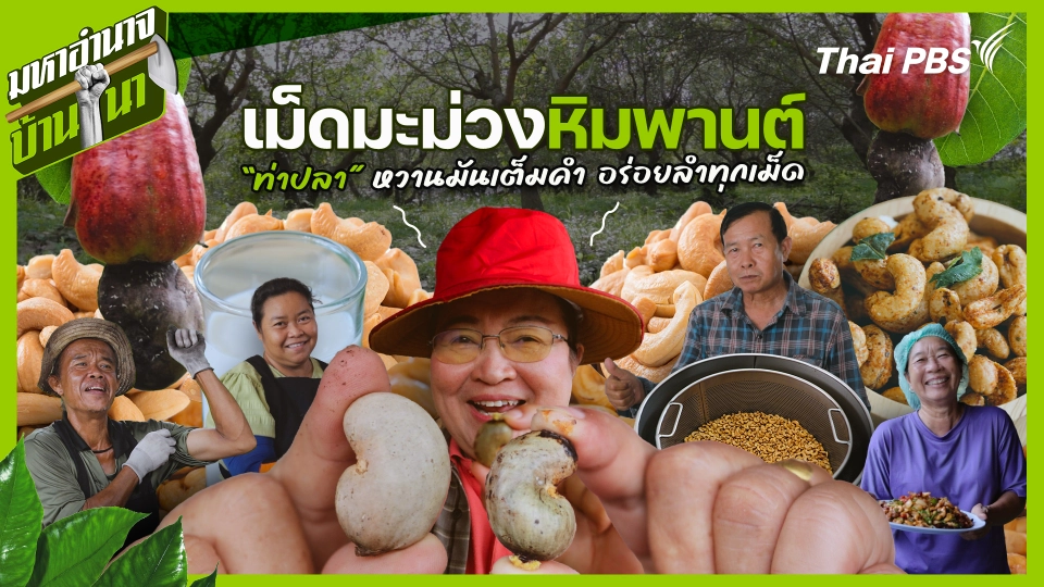 มหาอำนาจบ้านนา