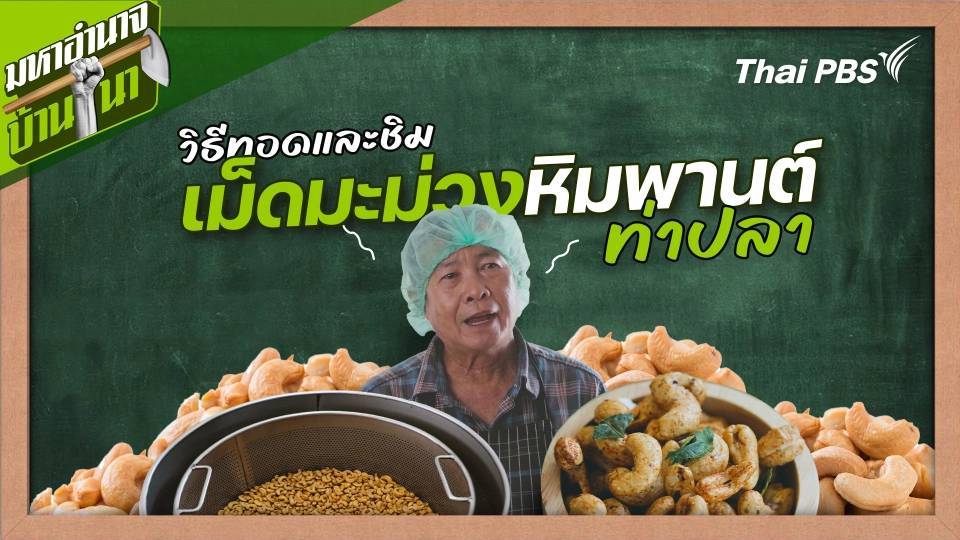 สูตรลับฉบับบ้านนา : วิธีทอดและชิมเม็ดมะม่วงหิมพานต์ท่าปลา