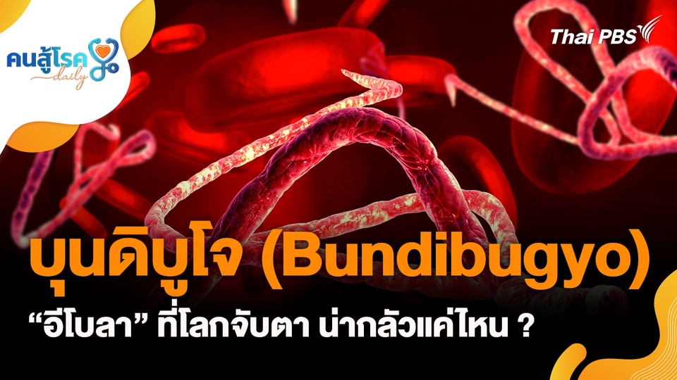 “อีโบลา” ที่โลกจับตา น่ากลัวแค่ไหน ?, เคี้ยวหมากฝรั่งรสมินต์แล้วจาม สัญญาณเตือนภูมิแพ้โพรงจมูก ?