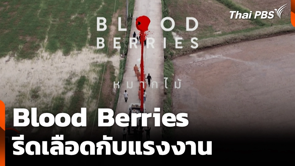 Blood Berries รีดเลือดกับแรงงาน