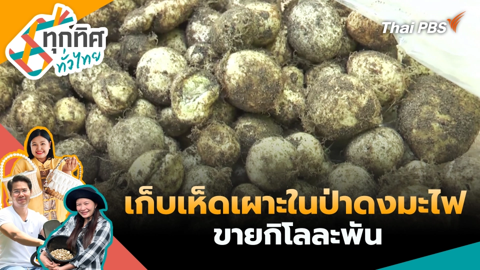 ทุกทิศทั่วไทย
