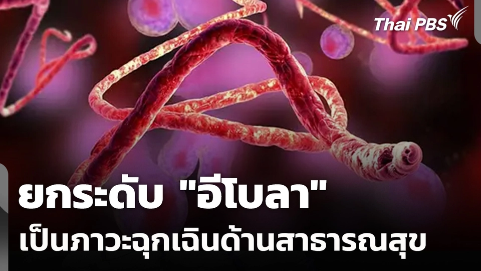 WHO ยกระดับ อีโบลา เป็นภาวะฉุกเฉินด้านสาธารณสุข
