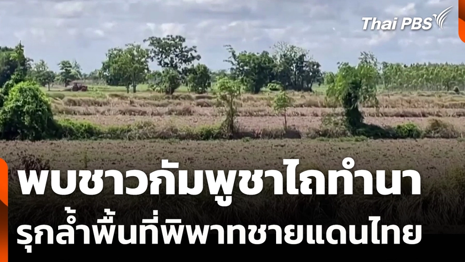 พบชาวกัมพูชาไถทำนารุกล้ำพื้นที่พิพาทชายแดนไทย