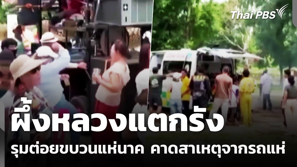 ผึ้งหลวงแตกรัง รุมต่อยขบวนแห่นาค คาดสาเหตุจากรถแห่
