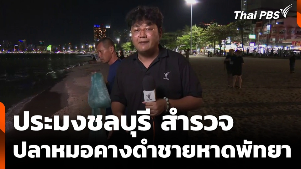 ประมงชลบุรี สำรวจปลาหมอคางดำชายหาดพัทยา