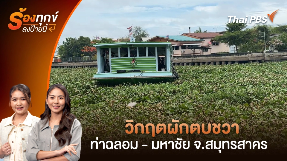 วิกฤตผักตบชวา ท่าฉลอม - มหาชัย จ.สมุทรสาคร