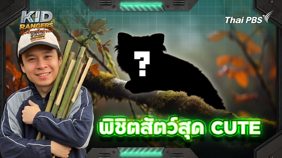 Kid Rangers ปฏิบัติการเด็กช่างคิด