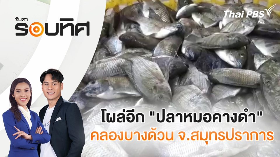 จับตารอบทิศ
