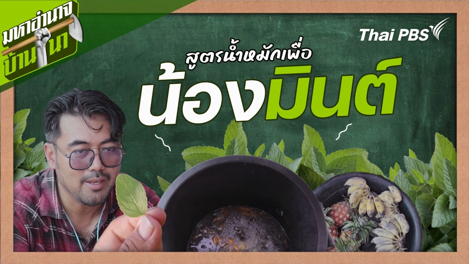 สูตรลับฉบับบ้านนา : สูตรน้ำหมักเพื่อน้องมินต์