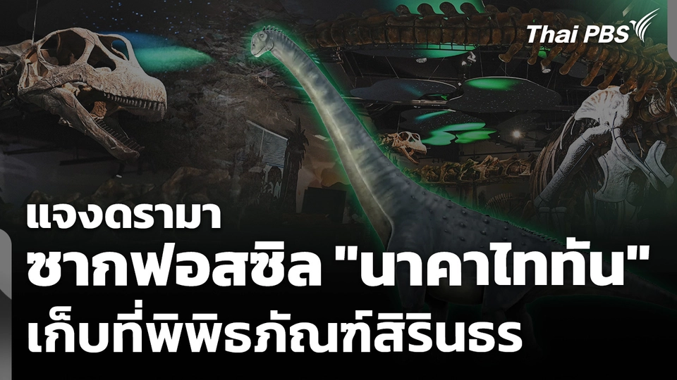 แจงดรามาเก็บซากฟอสซิล "นาคาไททัน" ที่พิพิธภัณฑ์สิรินธร ไม่ใช่แหล่งค้นพบ