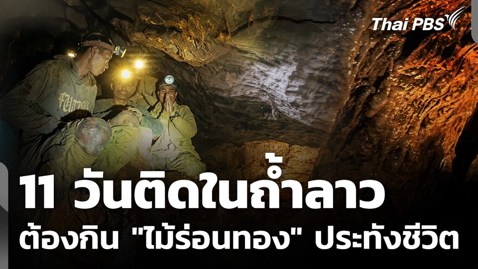 11 วันในถ้ำลาว ผู้รอดชีวิตกิน "ไม้ร่อนทอง" ประทังชีวิต