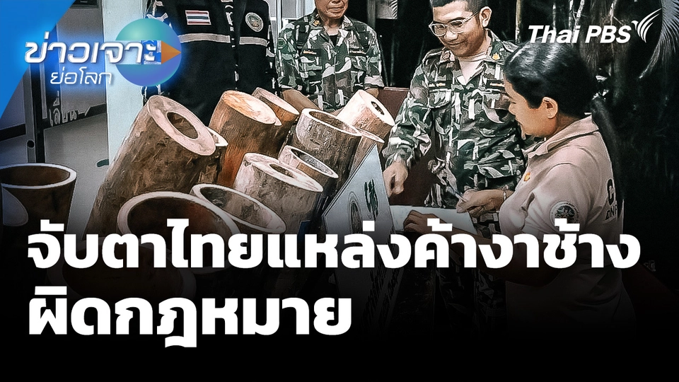 จับตาไทยแหล่งค้างาช้างผิดกฎหมาย