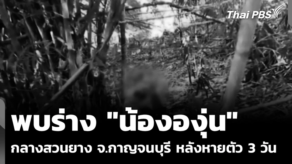 พบร่าง "น้ององุ่น" กลางสวนยาง จ.กาญจนบุรี หลังหายตัว 3 วัน