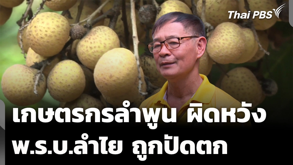 เกษตรกรลำพูนผิดหวัง พ.ร.บ.ลำไยถูกปัดตก