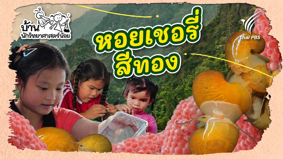 บ้านนักวิทยาศาสตร์น้อย