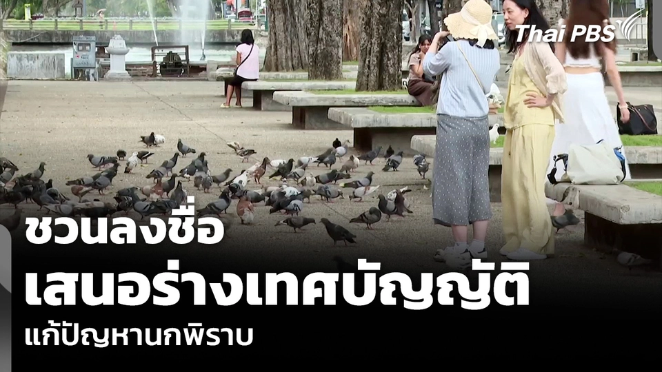 ชวนลงชื่อ เสนอร่างเทศบัญญัติ แก้ปัญหานกพิราบ