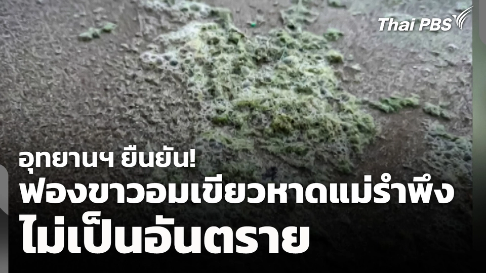 อุทยานฯ ยืนยัน! ฟองขาวอมเขียวหาดแม่รำพึง ไม่เป็นอันตราย