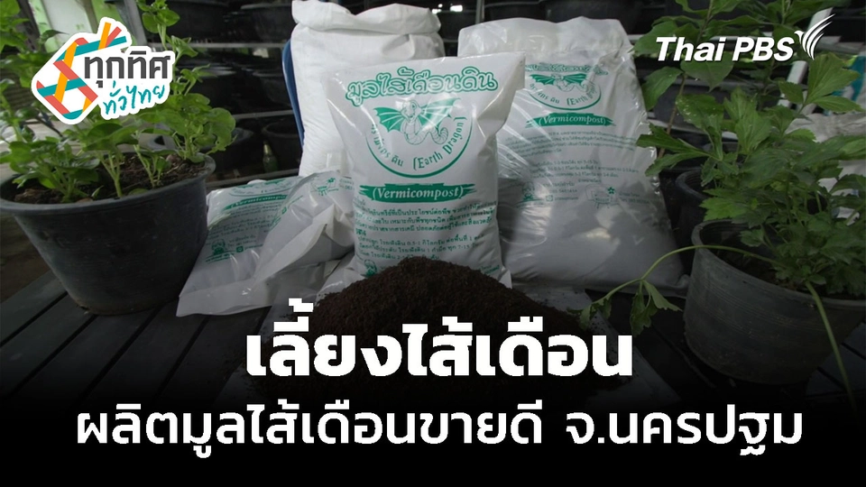 เลี้ยงไส้เดือน ผลิตมูลไส้เดือนขายดี จ.นครปฐม
