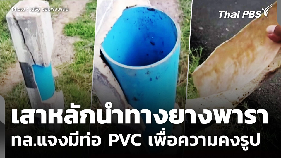 กรมทางหลวง แจงเสาหลักนำทางยางพารา มีท่อ PVC เพื่อความคงรูป