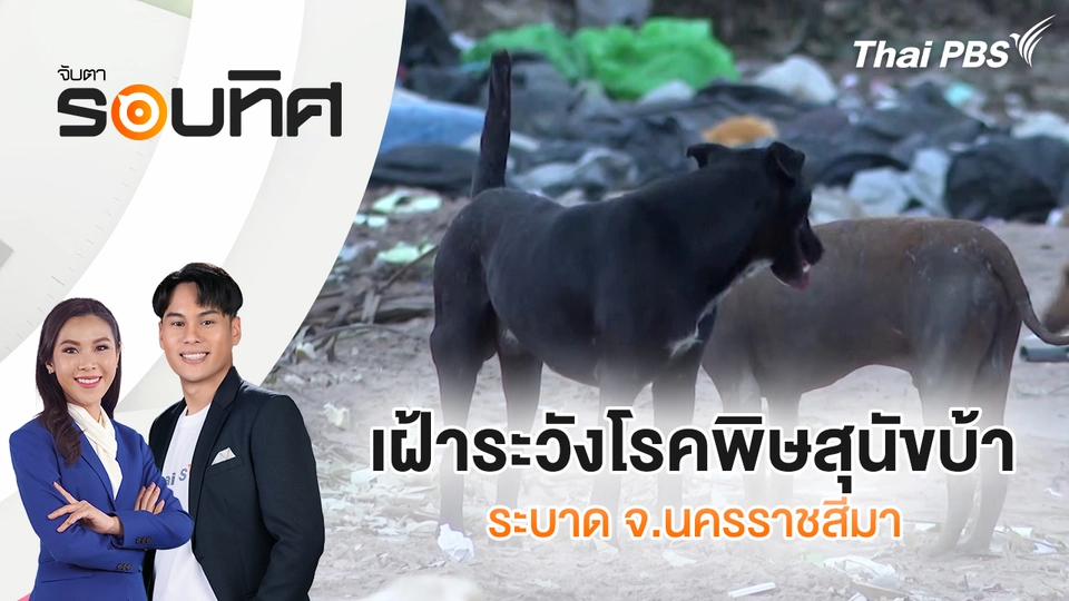 จับตารอบทิศ