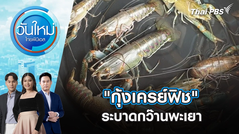 วันใหม่  ไทยพีบีเอส