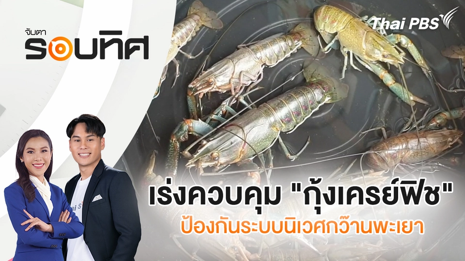 จับตารอบทิศ