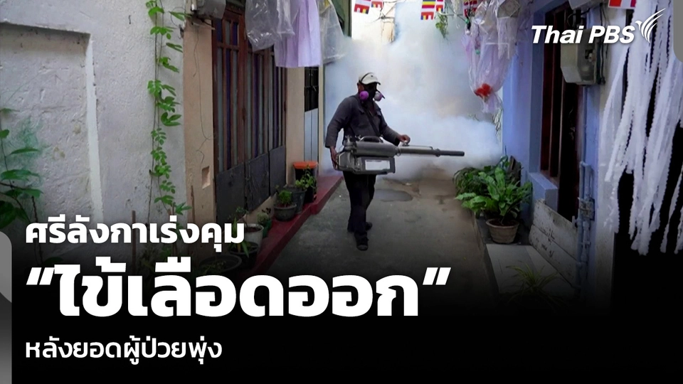 ศรีลังกาเร่งคุม “ไข้เลือดออก” หลังยอดผู้ป่วยพุ่ง