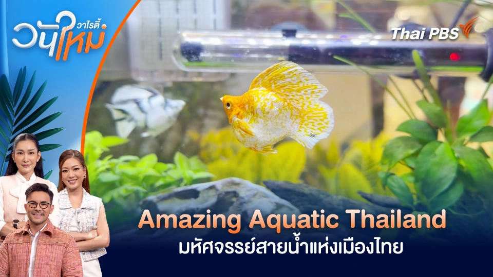 วันใหม่วาไรตี้