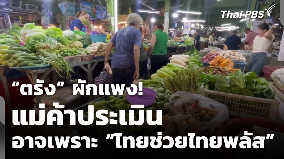 “ตรัง” ผักแพง! แม่ค้าประเมิน อาจเพราะ “ไทยช่วยไทยพลัส”