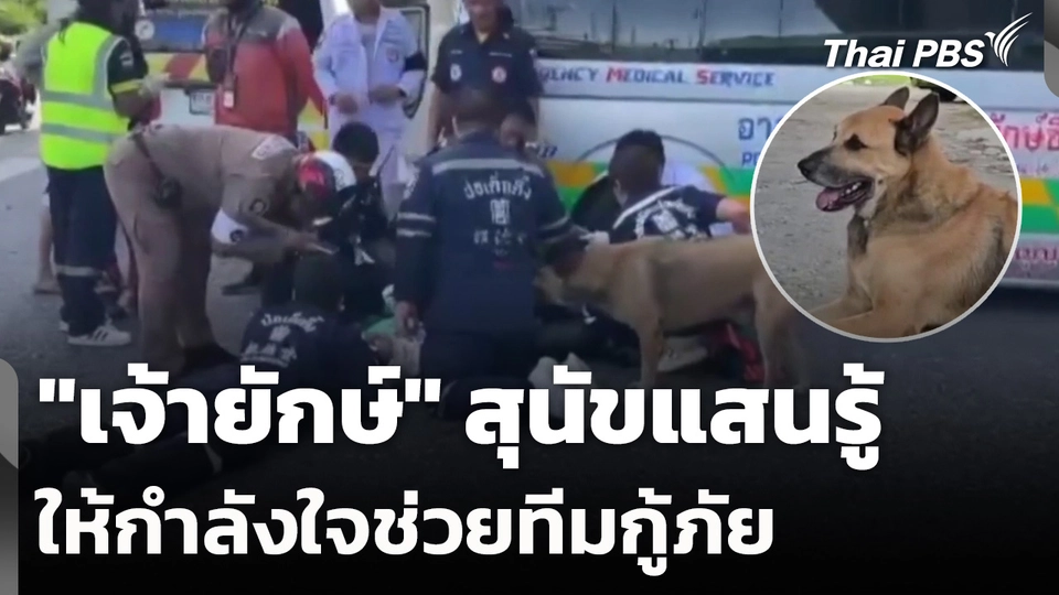 "เจ้ายักษ์" สุนัขแสนรู้ ให้กำลังใจช่วยทีมกู้ภัย