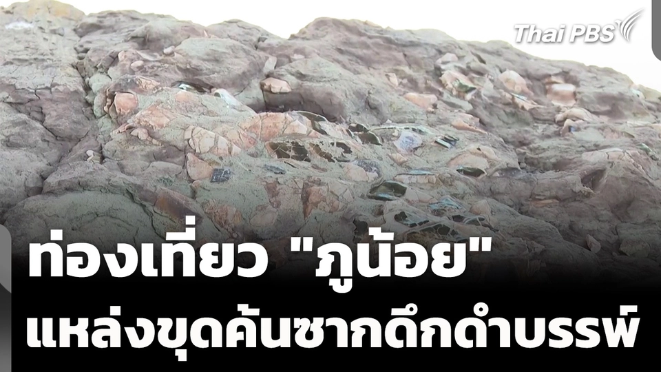 เที่ยว "ภูน้อย" แหล่งขุดค้นซากดึกดำบรรพ์ใหญ่สุดในเอเชียฯ