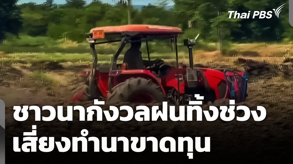 ชาวนากังวลฝนทิ้งช่วง เสี่ยงทำนาขาดทุน 