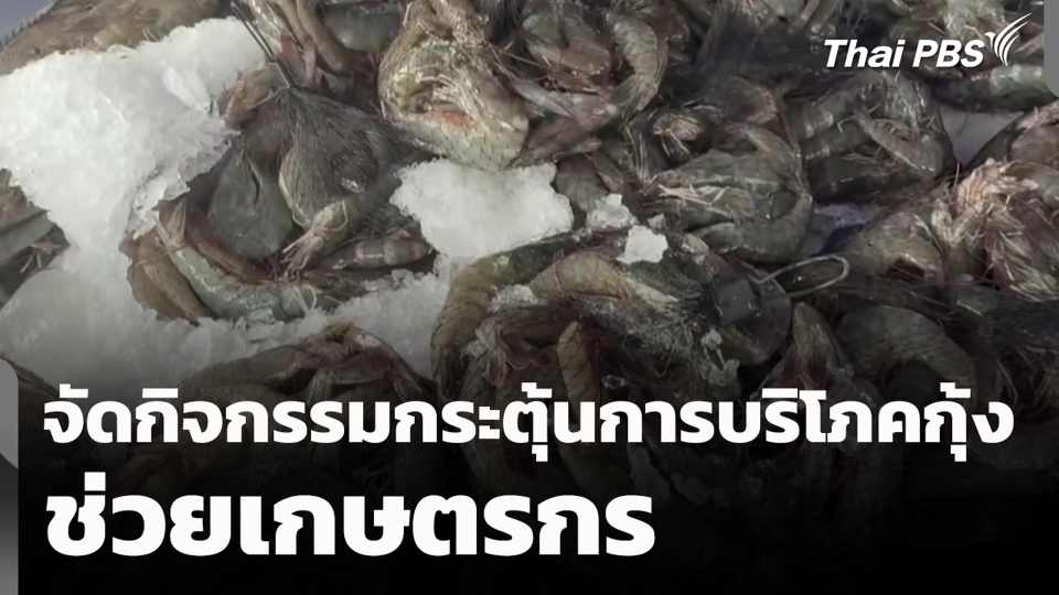 จัดกิจกรรมกระตุ้นการบริโภคกุ้งช่วยเกษตรกร