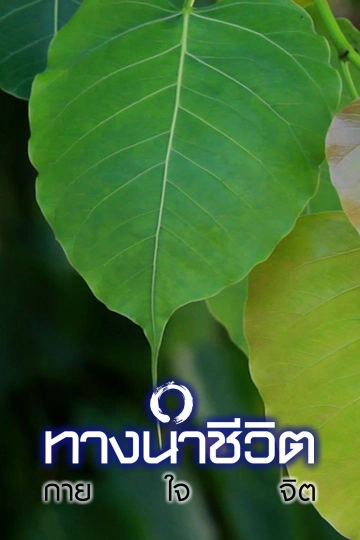 ทางนำชีวิต ชุด กาย ใจ จิต ปี 59