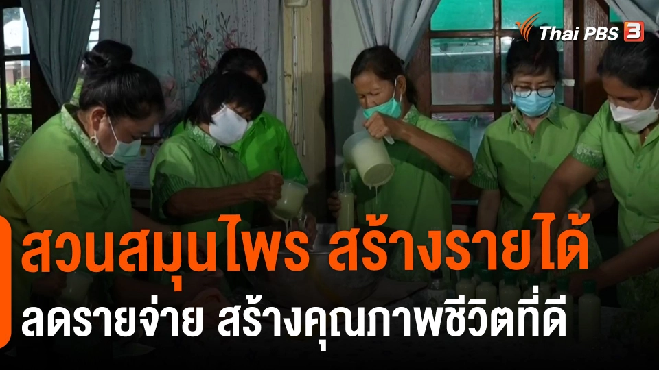 ​ดอกผลของความยั่งยืน : สวนสมุนไพร สร้างรายได้ ลดรายจ่าย สร้างคุณภาพชีวิตที่ดี