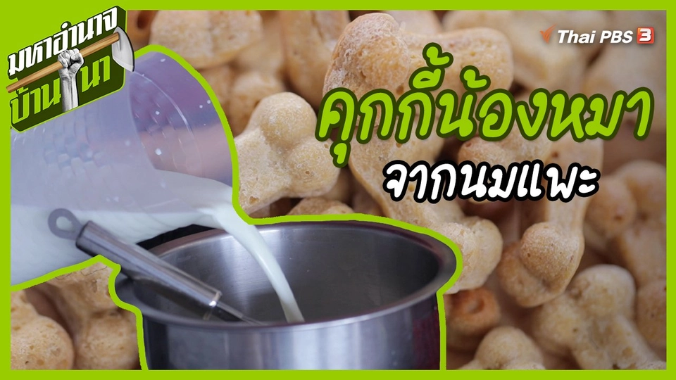 ​สูตรลับฉบับบ้านนา : คุกกี้น้องหมาจากนมแพะ