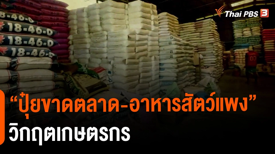 ​"ปุ๋ยขาดตลาด-อาหารสัตว์แพง" วิกฤตเกษตรกร
