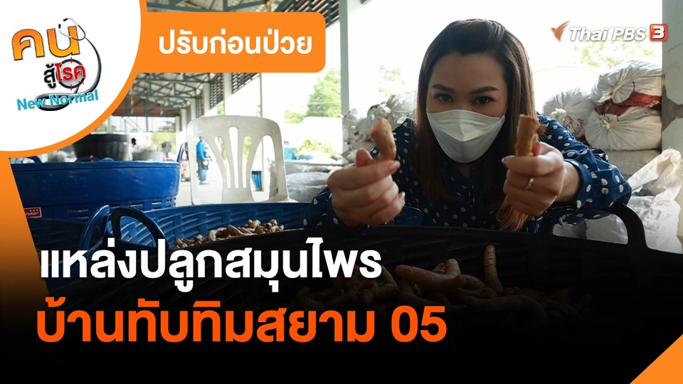 ปรับก่อนป่วย : แหล่งปลูกสมุนไพร บ้านทับทิมสยาม 05