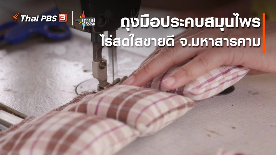 ​อาชีพทั่วไทย : ถุงมือประคบสมุนไพรไร่สดใสขายดี จ.มหาสารคาม